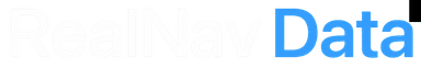 RealNav Data logo